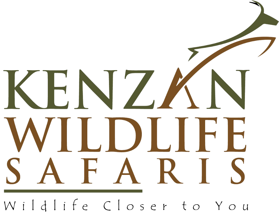 Kenzan Wildlife