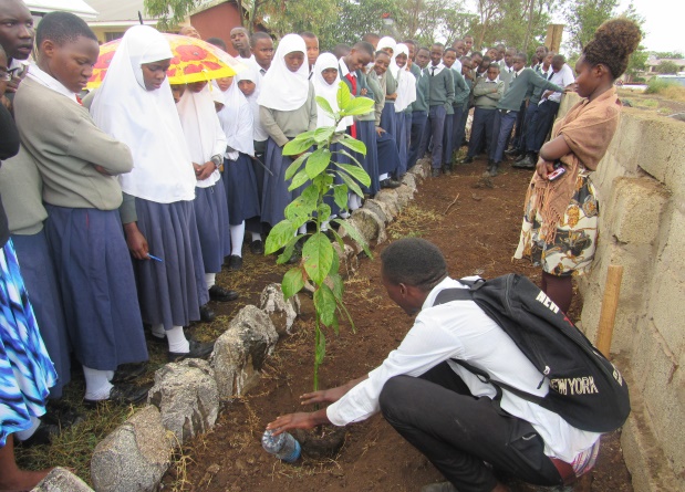 Nitunze Nikutunze environmental conservation